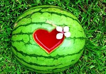 周公解梦梦见瓜地吃瓜,瓜地吃瓜预示的吉祥寓意