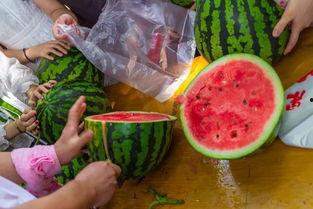 燕大视频吃瓜,揭秘校园热点背后的真相