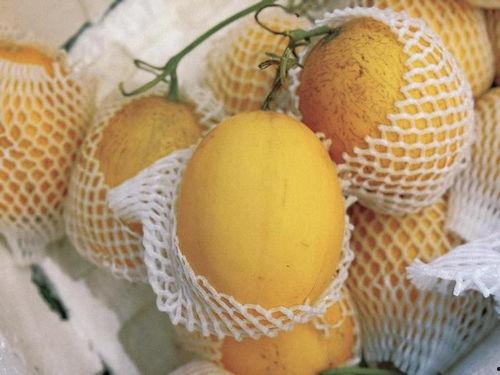 科技公司吃瓜,行业风云录