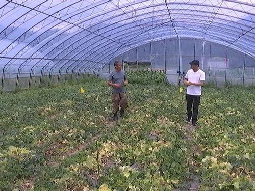 科技公司吃瓜,行业风云录