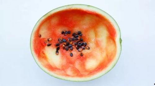 塑料勺子吃瓜,创意生活新体验