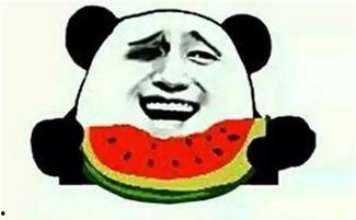 爬坡时吃瓜,轻松应对挑战的趣味攻略