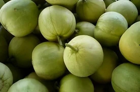 梦到田瓜地吃甜瓜,田瓜地中品甜瓜的奇幻之旅