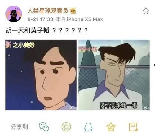 初言吃瓜现场,揭秘娱乐圈幕后风云