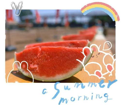 初言吃瓜现场,揭秘娱乐圈幕后风云