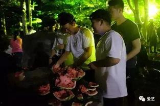 网络吃瓜事件合集学校,网络吃瓜事件合集深度解析