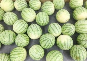 吃瓜前吃什么,吃瓜前必尝的美食佳肴