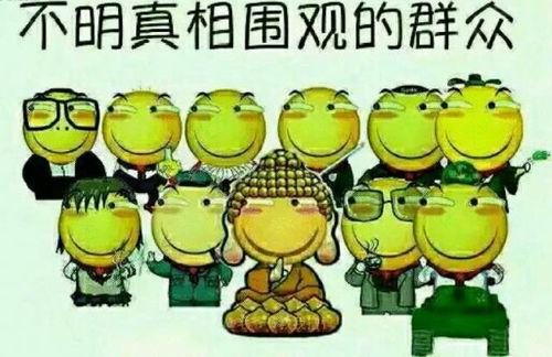 吃瓜请投币,投币解锁精彩瞬间