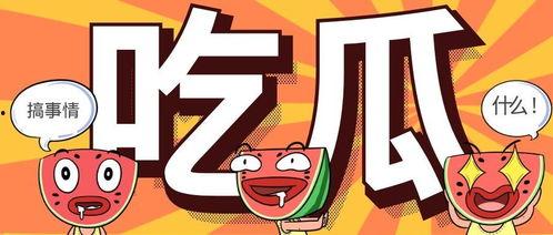 吃瓜请投币,投币解锁精彩瞬间