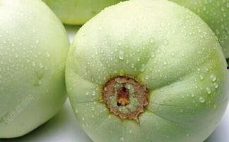 甜瓜本瓜不是吃瓜