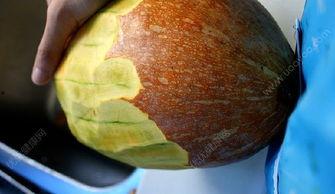 吃方瓜引起胃酸,揭秘消化之谜