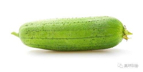 种的瓜被吃小说,一场被偷食的瓜种奇遇