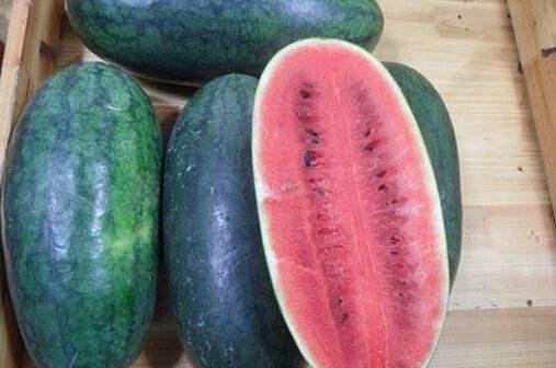 黑美人吃瓜,探寻神秘瓜果的传奇故事