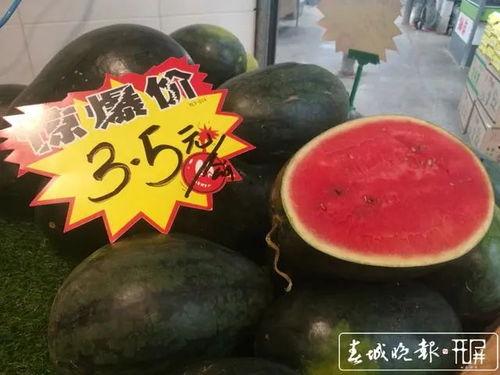 黑美人吃瓜,探寻神秘瓜果的传奇故事