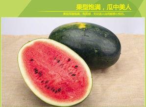 黑美人吃瓜,探寻神秘瓜果的传奇故事