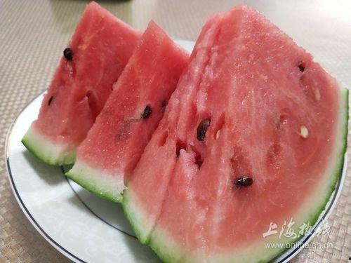 南汇 吃瓜,瓜果飘香，品味田园生活