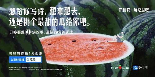 吃瓜预告文案短句,揭秘吃瓜预告文案背后的精彩瞬间