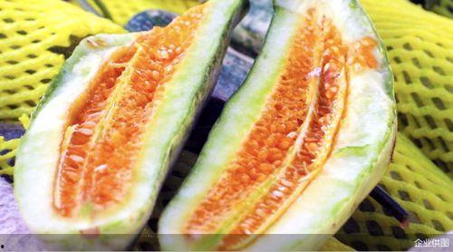 山东郓城商城吃瓜