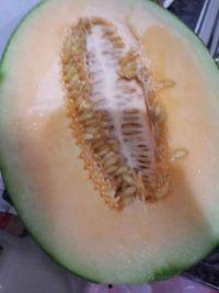 吃冻的哈密瓜会中毒么,揭秘食品安全隐患