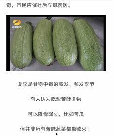 等瓜吃瓜,跟随等瓜吃瓜，共享欢乐时光