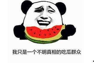 吃瓜大王啥意思