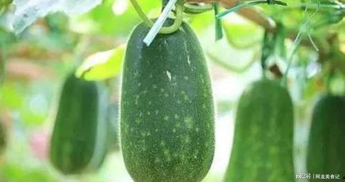 7月吃瓜,盘点那些年我们一起“瓜”过的热点事件