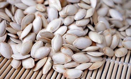 吃男瓜补肾吗,吃男瓜真的能补肾吗？