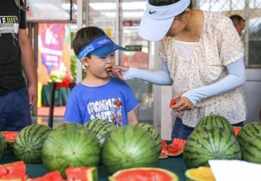 小京吃瓜,揭秘娱乐圈那些不为人知的幕后故事