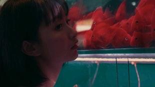 吃瓜少女卧室,揭秘吃瓜少女的梦幻卧室