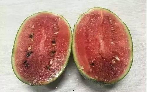 吃瓜吐籽的人  第2张