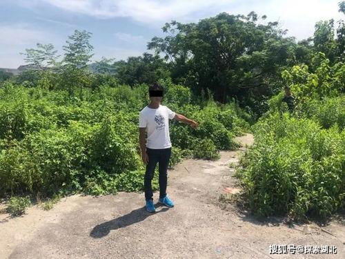 吃瓜群众被拘留  第3张