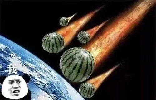 下雨吃瓜文案句子,一场别开生面的下雨吃瓜盛宴  第1张