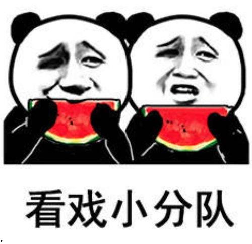 这么喜欢吃瓜,探寻舌尖上的瓜香世界