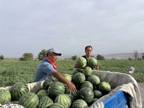 吃瓜渠县,一场关于美食与文化的盛宴  第2张