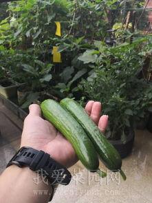 国内吃瓜链接,一网打尽网络热议焦点  第2张