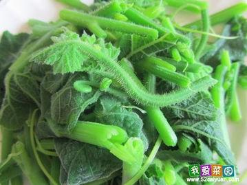 国内吃瓜链接,一网打尽网络热议焦点  第3张