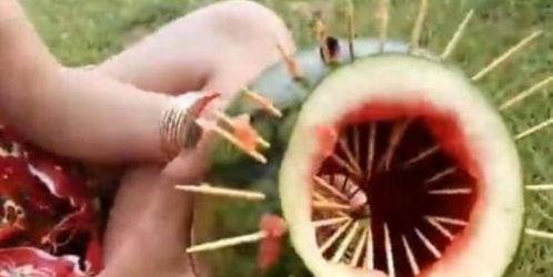 可以吃瓜的玩具  第3张