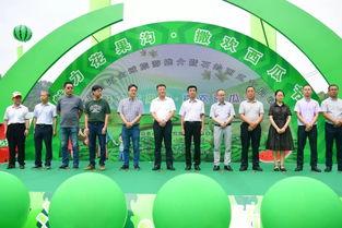 亲子吃瓜活动现场,共享甜蜜时光