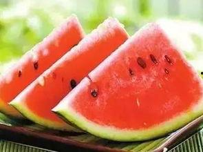 女生可吃公瓜吗  第3张