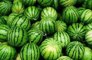 外美史吃瓜,那些鲜为人知的艺术界秘闻  第3张