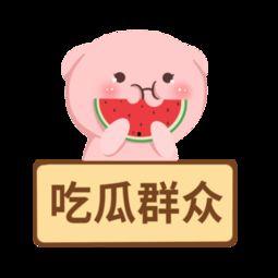 综艺吃瓜素材下载,明星幕后故事全收录  第3张